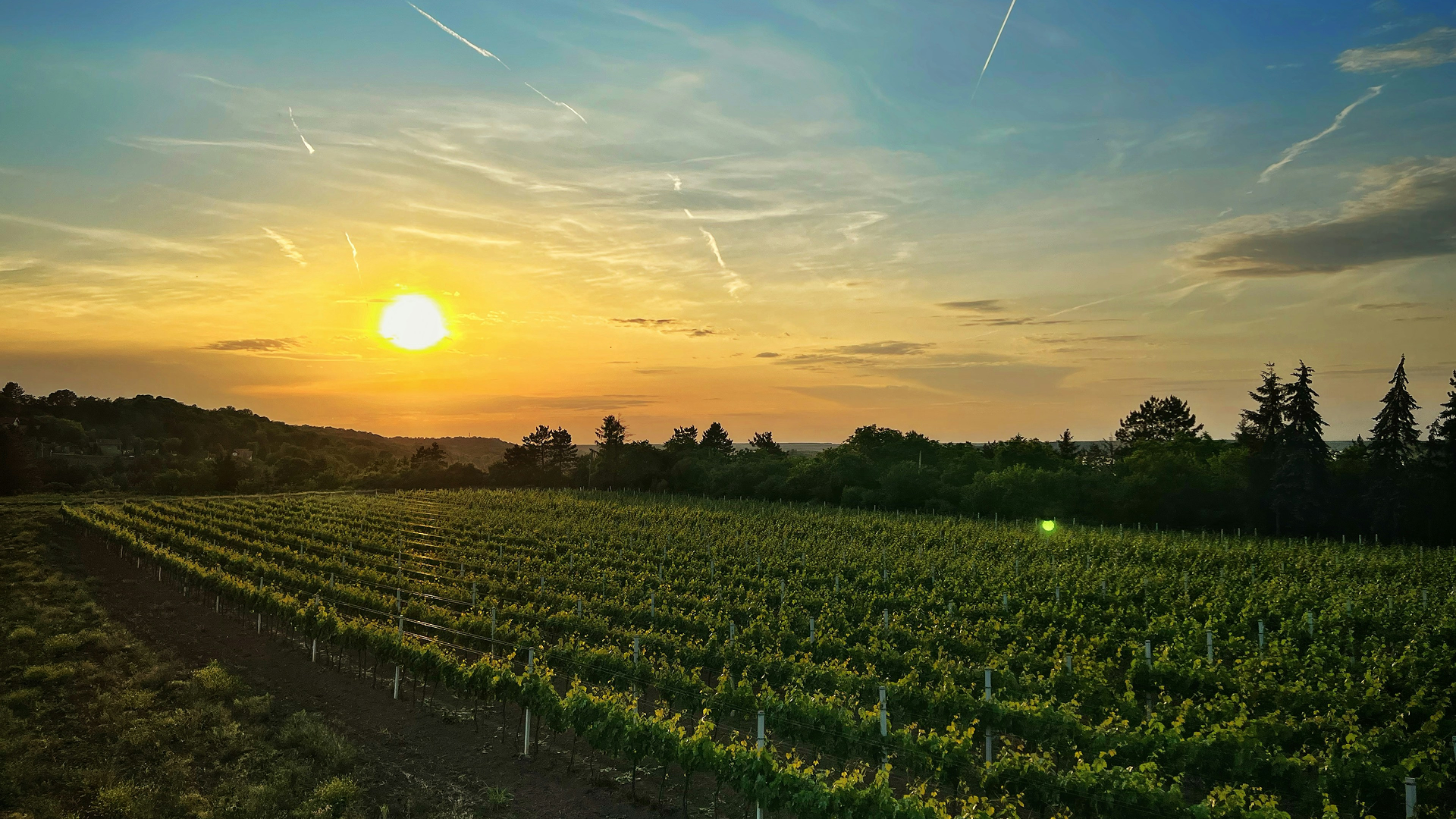 Grandview Resort Main View